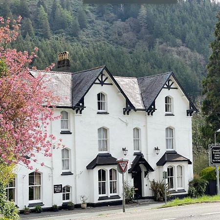 The Buckley Arms Hotel Dinas Mawddwy Exterior foto